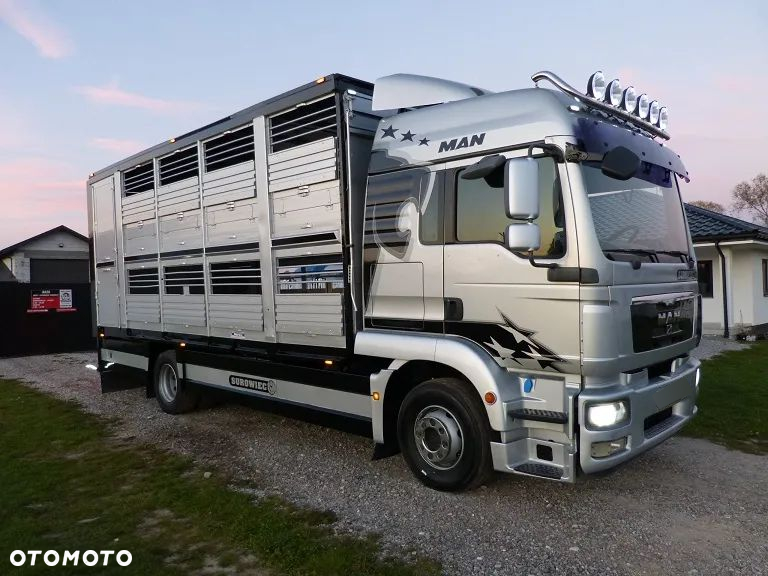 MAN TGM 15.290 DO ŻYWCA / ZWIERZĄT / BYDŁA / TRZODY CHLEWNEJ / WAGA EL. / NA PODUSZKACH / EURO 5 / DMC 16.000 KG - 3