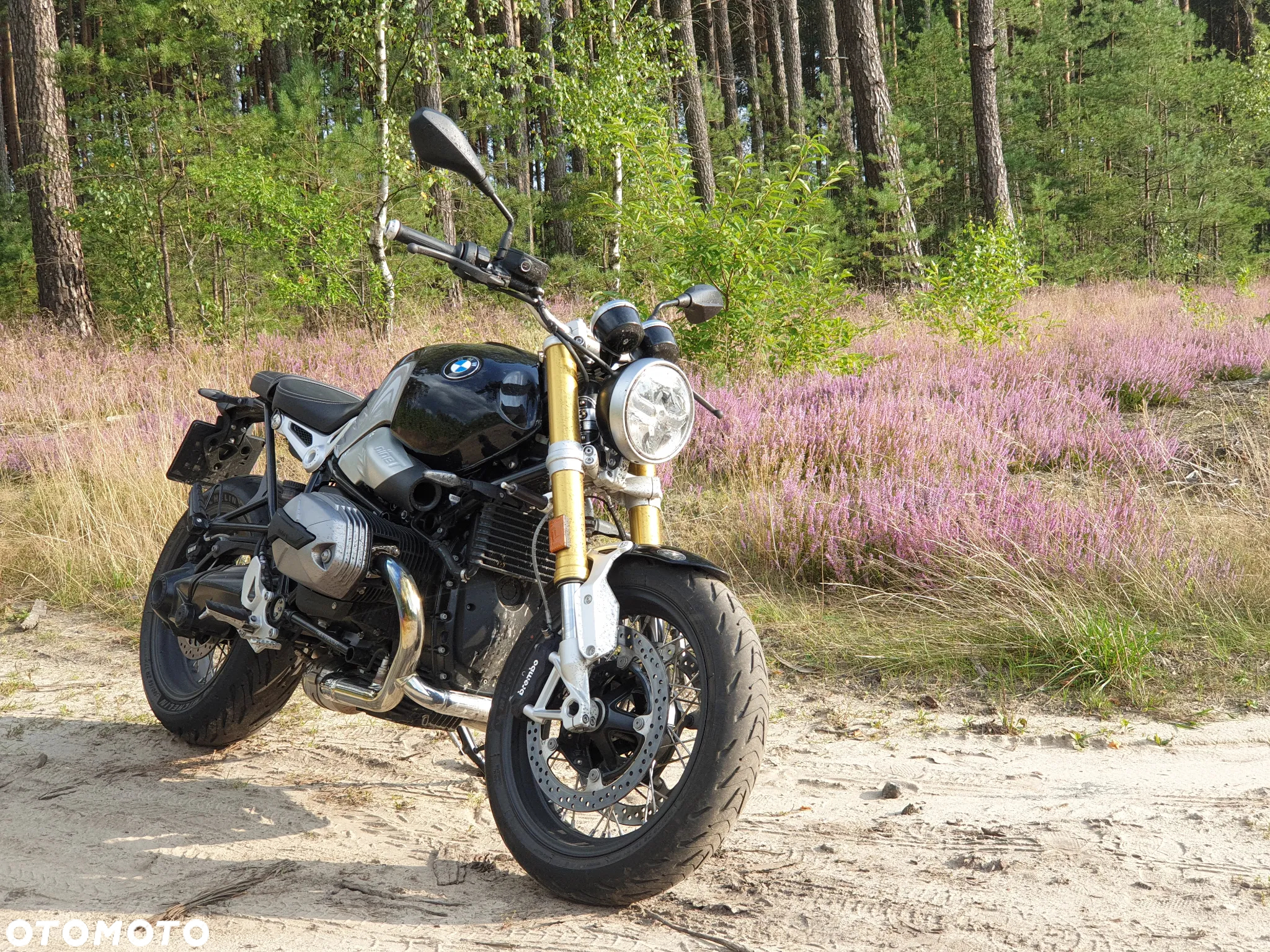 BMW R - 5