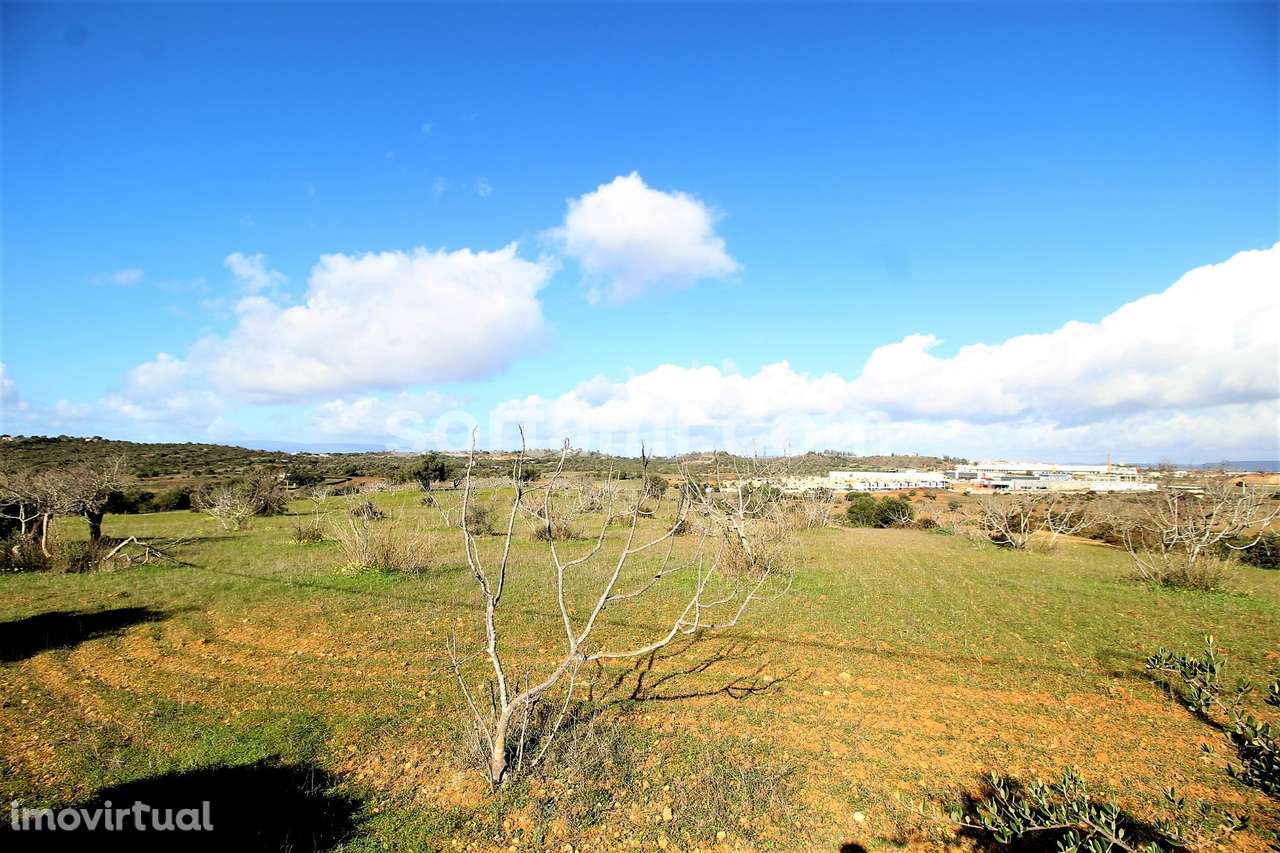 Terreno Rústico  Venda em Algoz e Tunes,Silves - Grande imagem: 3/9