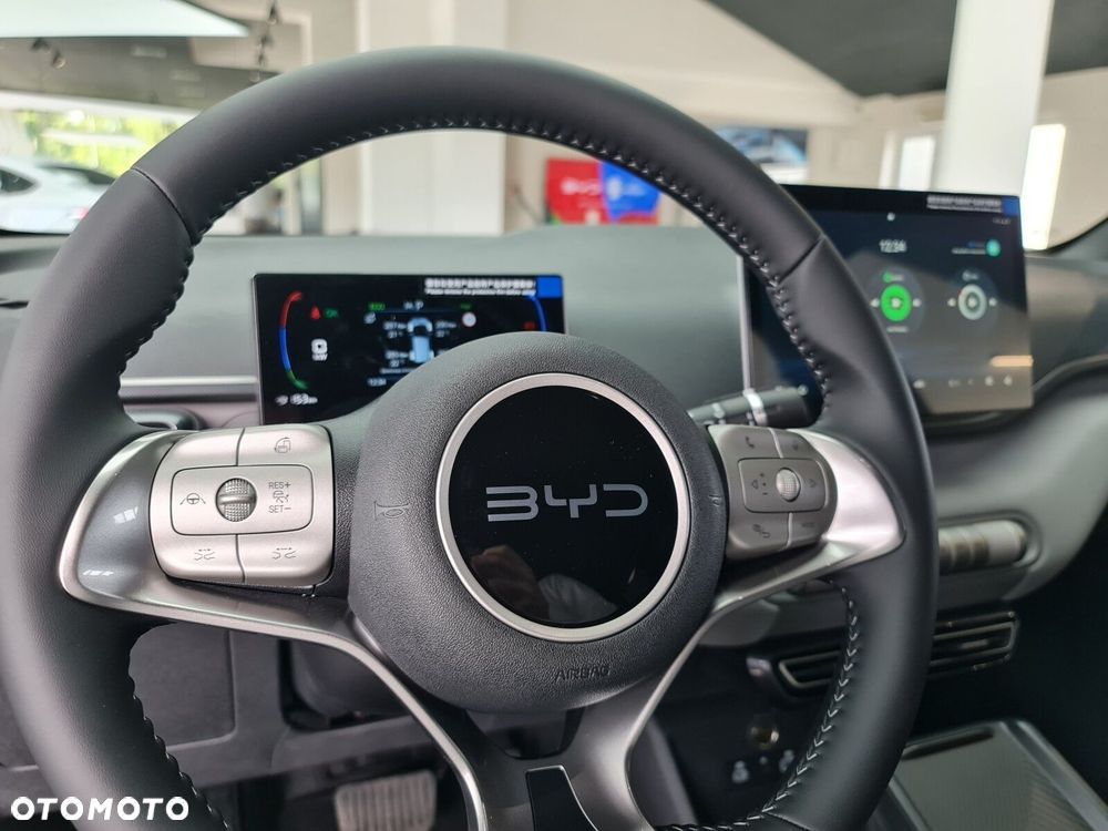 BYD Dolphin Surf - 26