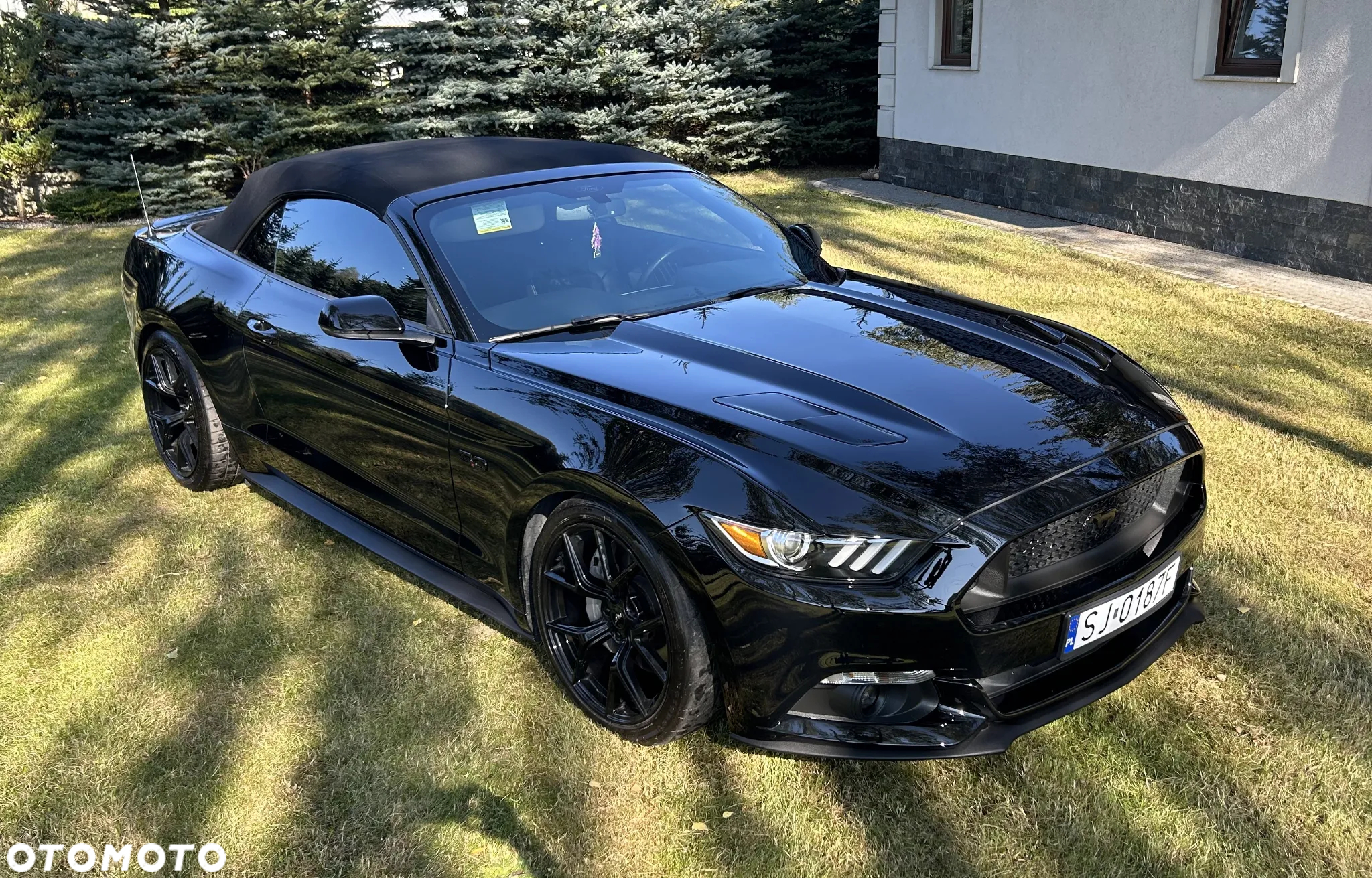Ford Mustang - 2