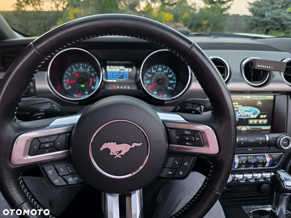 Ford Mustang Cabrio 5.0 Ti-VCT V8 Black Shadow Edition - 13