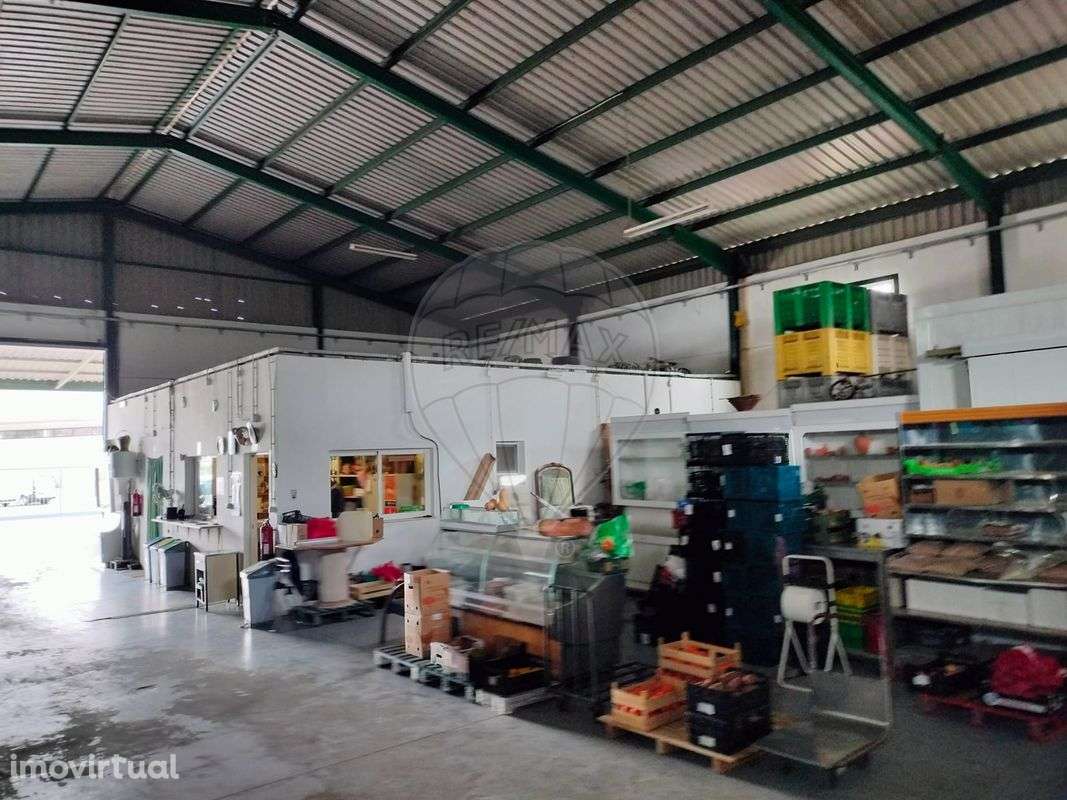 Armazém T2 para venda - Grande imagem: 5/14