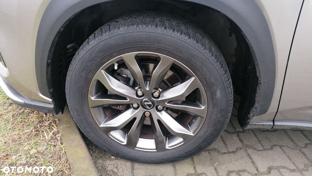Lexus NX 300h F Sport Edition AWD - 19