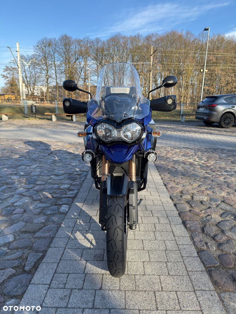 Triumph Tiger - 3
