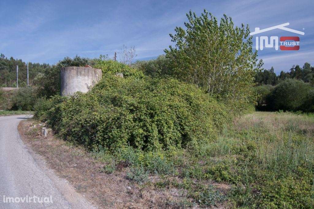 Terreno com 550 m2 Carvalhinho Albergaria dos Doze - Grande imagem: 4/6