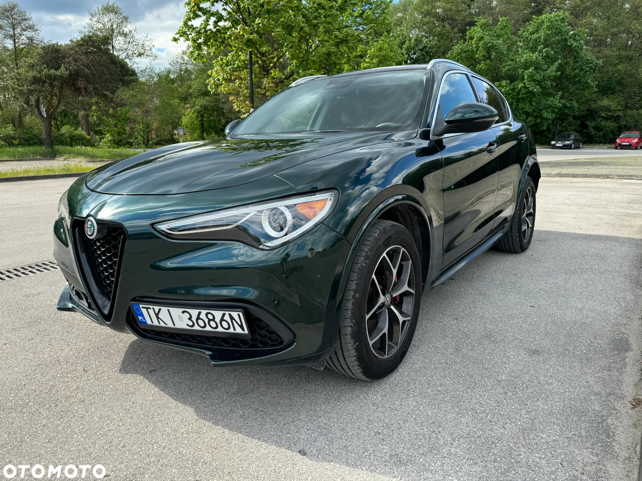 Alfa Romeo Stelvio 2.0 Turbo TI Q4 - 13