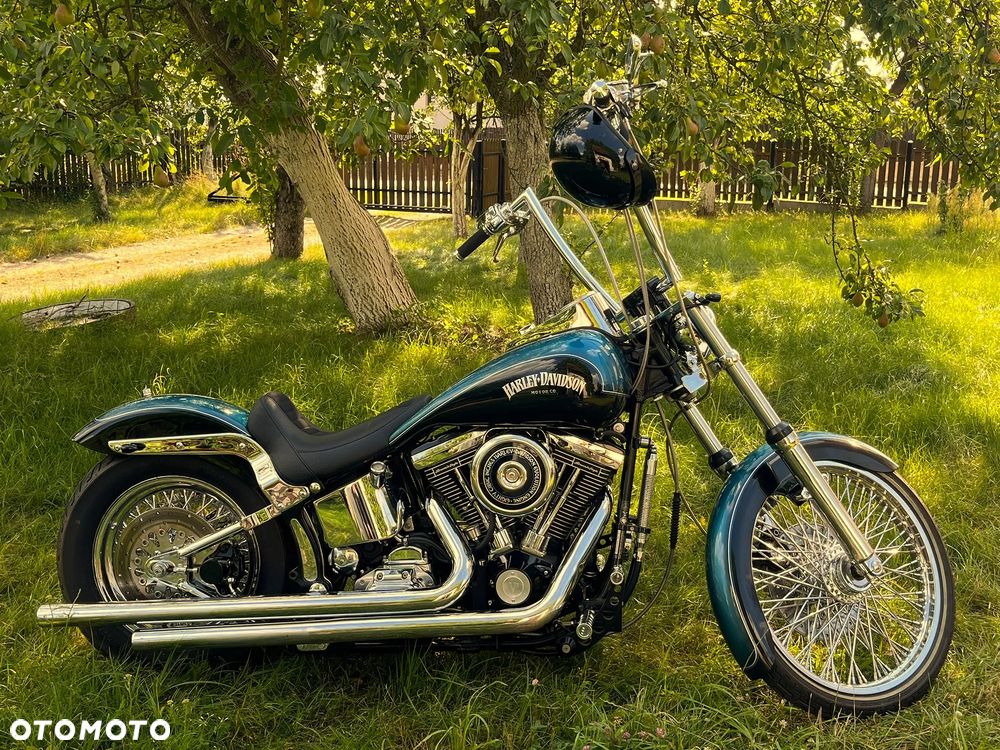 Harley-Davidson Softail Standard - 1