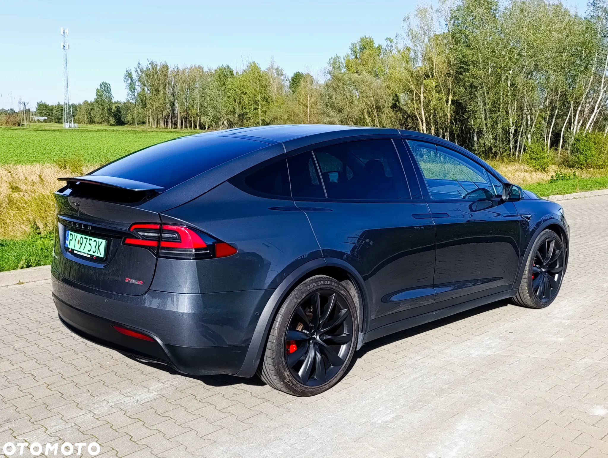 Tesla Model X Performance - 20