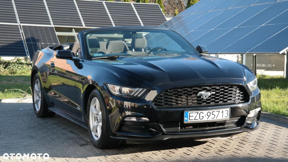 Ford Mustang 3.7 V6 - 17