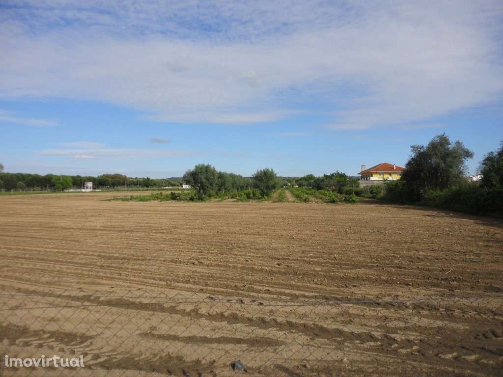 Terreno Urbano Venda Abrantes - Grande imagem: 2/4