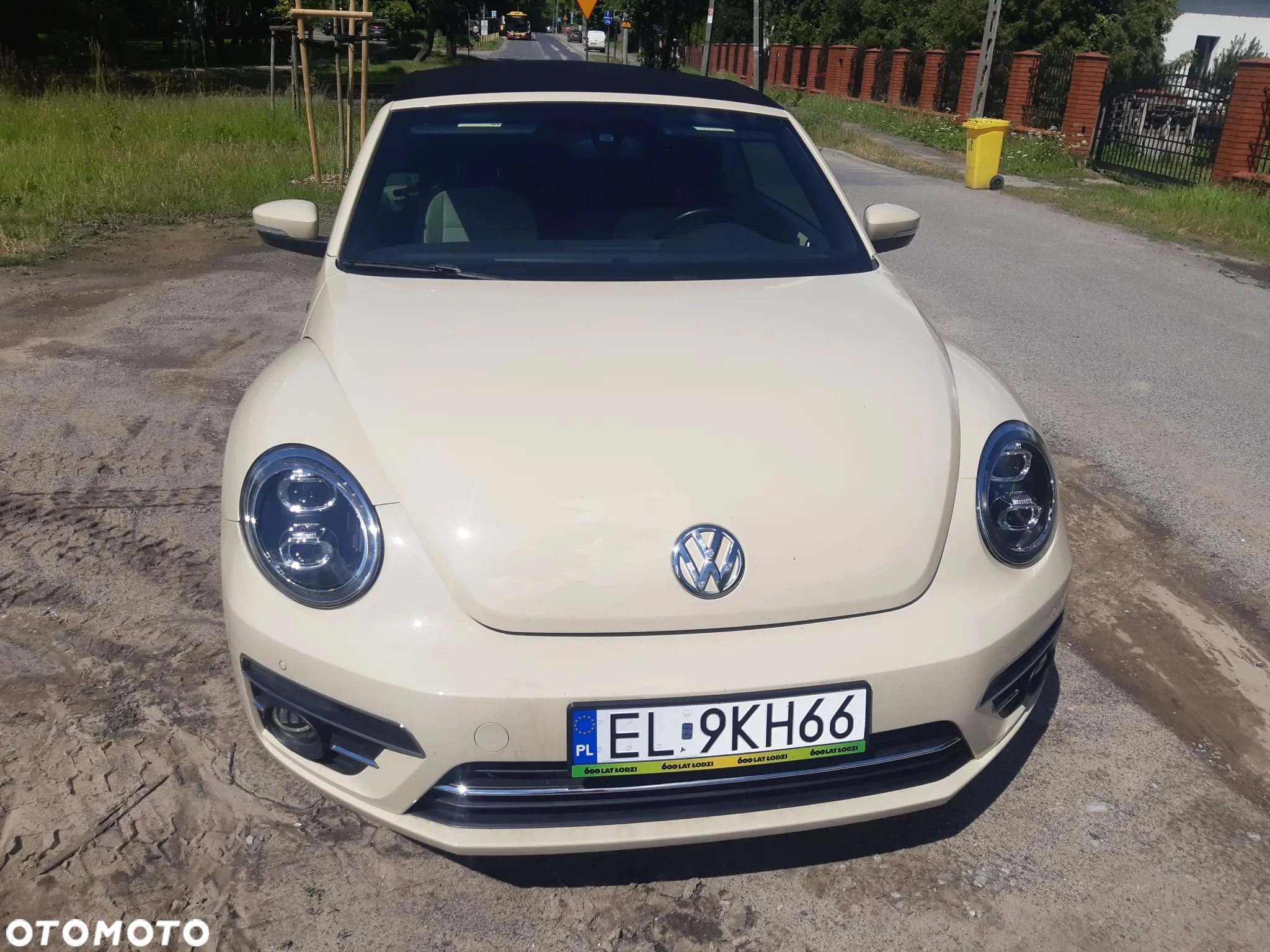 Volkswagen Beetle - 29
