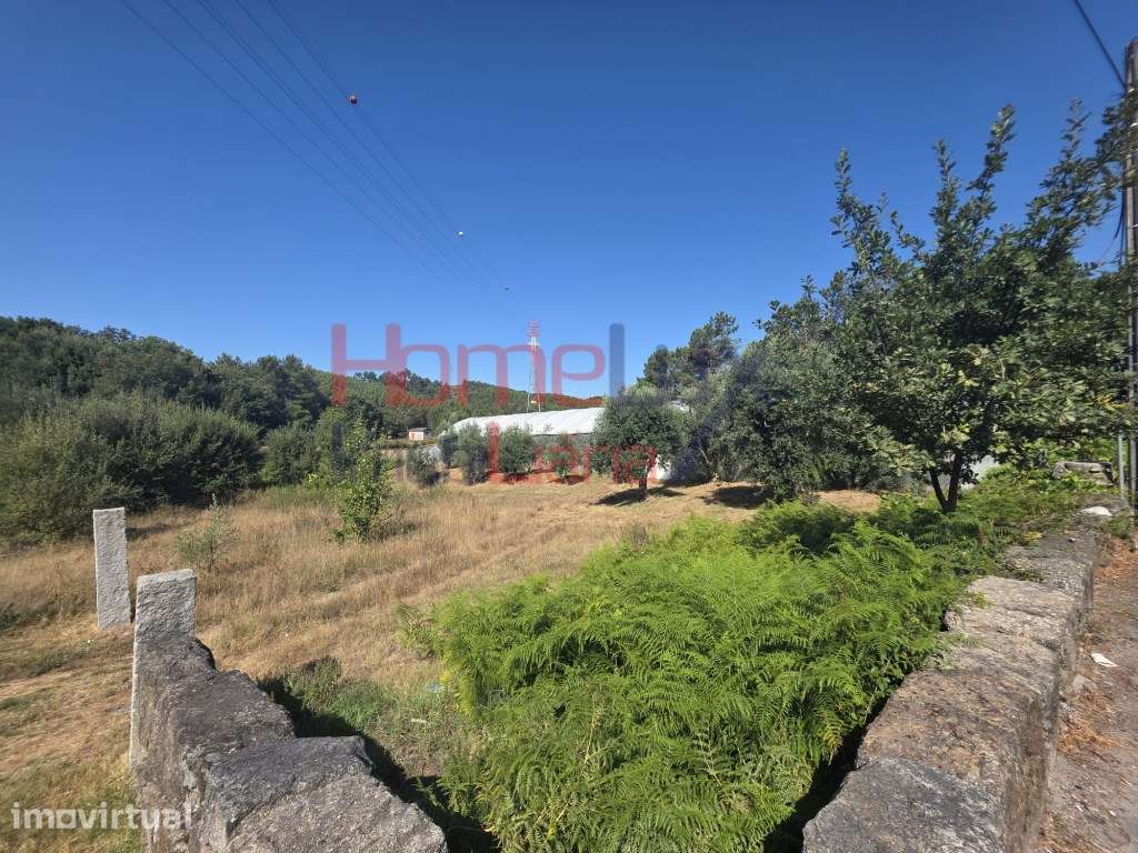 Terreno para venda no Campo, Viseu - Grande imagem: 4/11