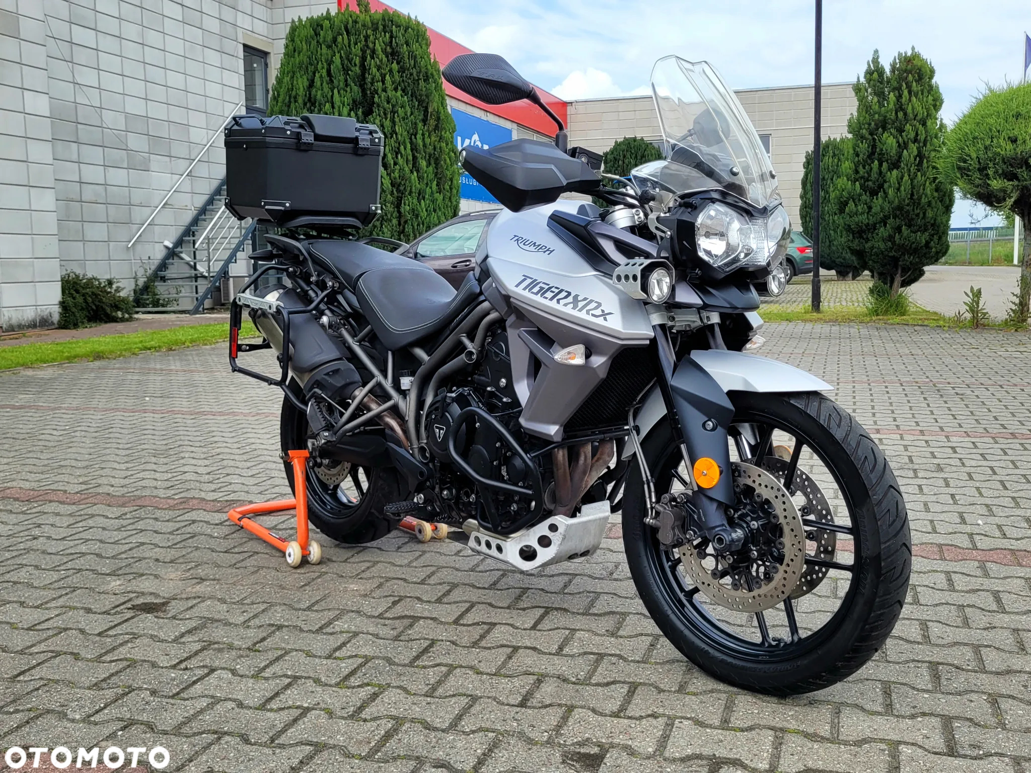 Triumph Tiger - 11