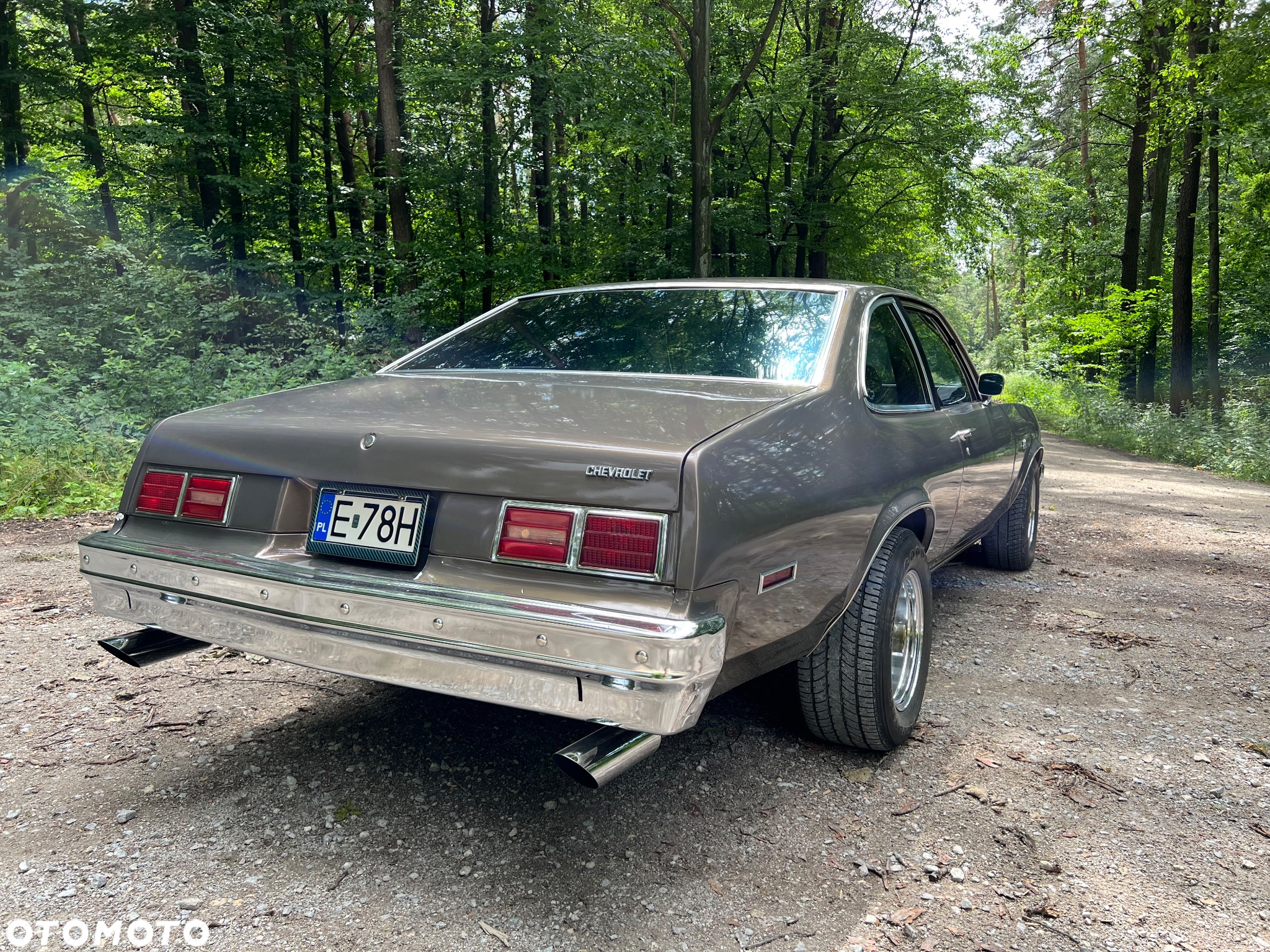 Chevrolet Nova - 11