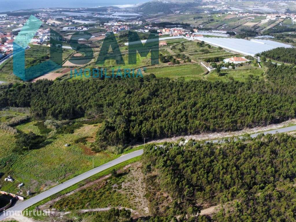 Terreno com viabilidade de desenvolvimento turístico - Grande imagem: 3/10