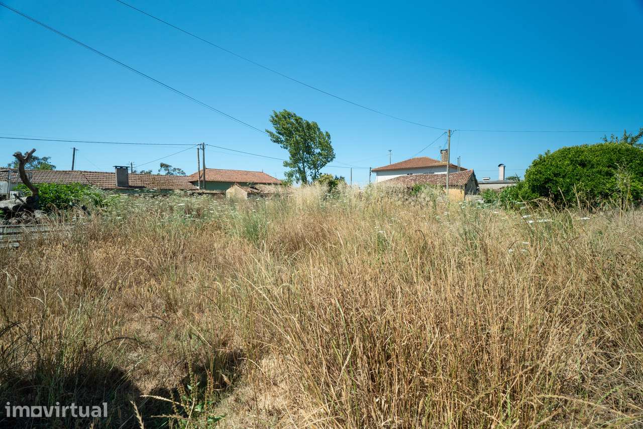 Terreno para venda - Murtosa - View 4