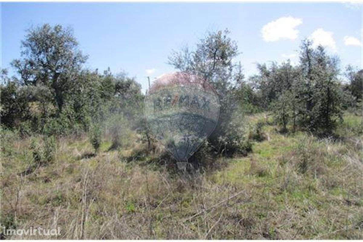 Quinta T0 para venda - Grande imagem: 4/19