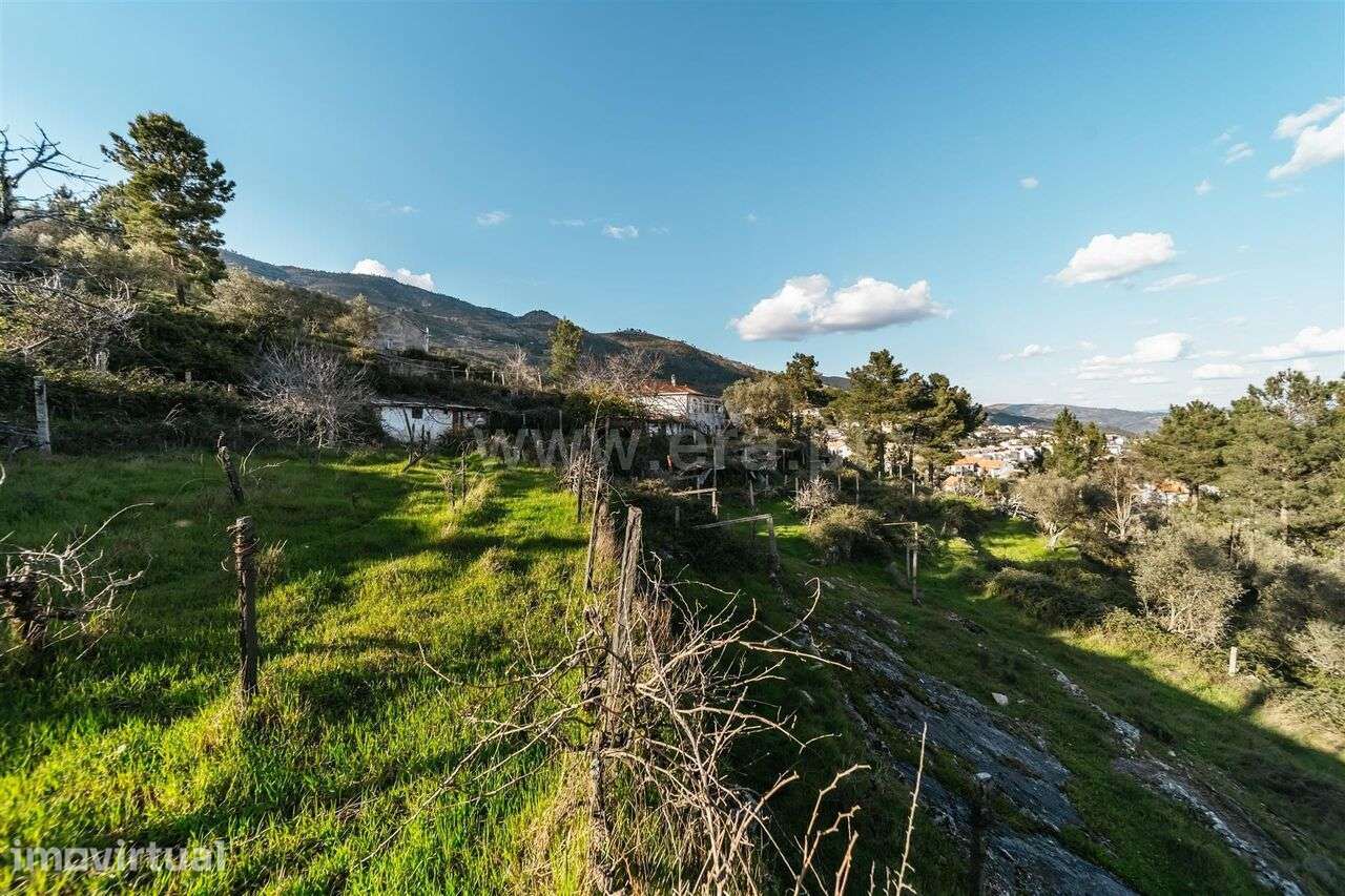 Quinta T3 / Covilhã, Cantar - Galo - Grande imagem: 3/20