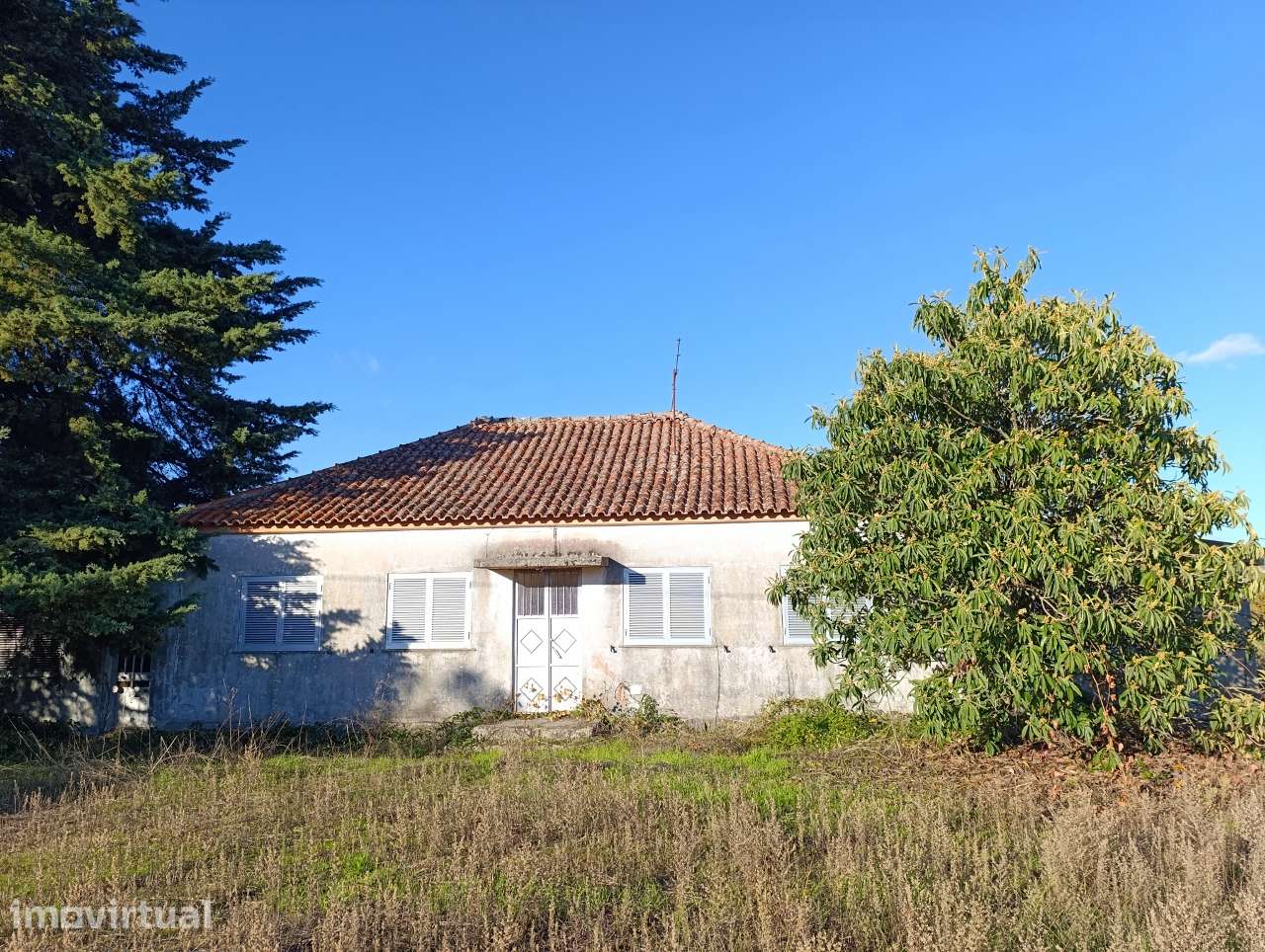 Quinta 25 Hectares e 3 Urbanos em Belmonte, Castelo Branco - Grande imagem: 4/46