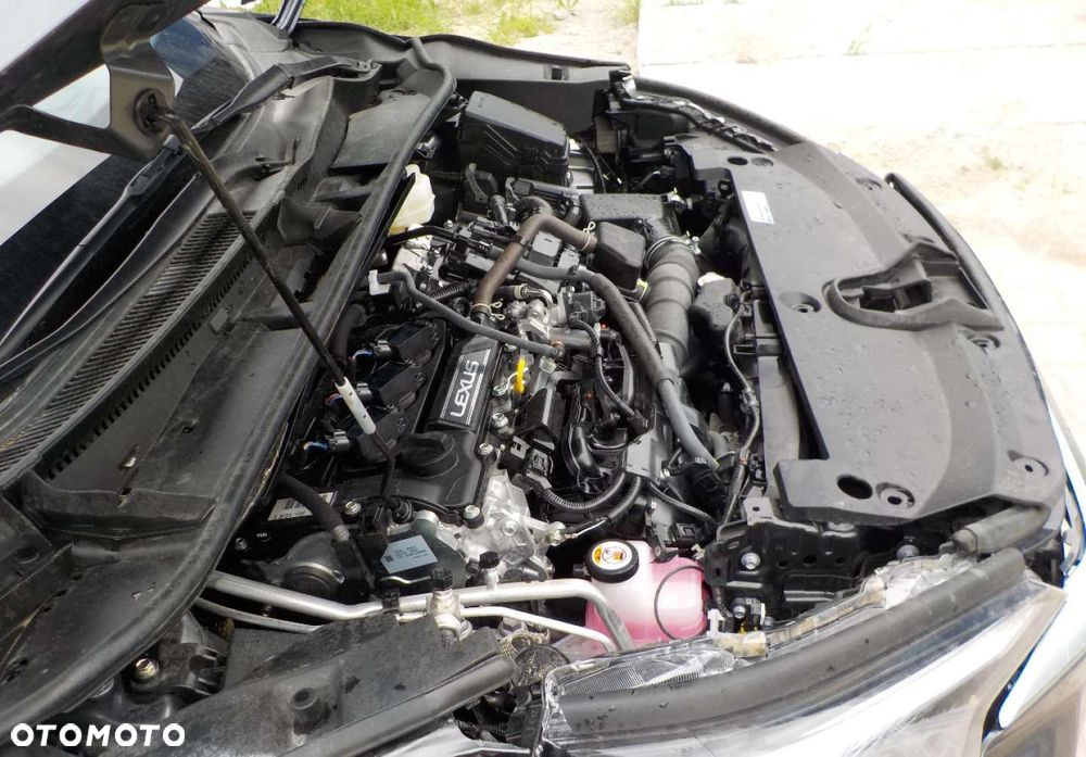 Lexus LBX - 5