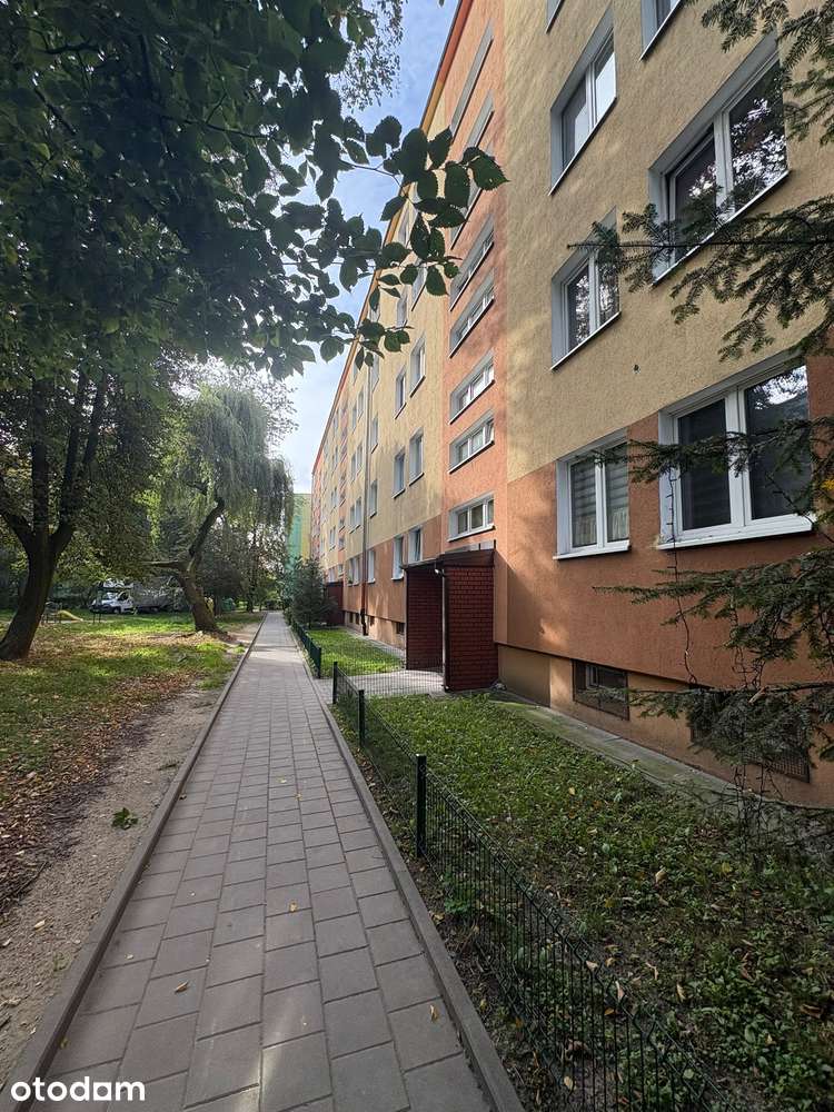 1-soban stan, 44 m²