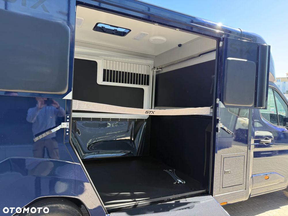 Renault MASTER IV 5-osobowy, Nowy koniowóz STX Automat, GWARANCJA - 23