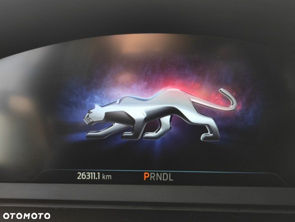 Ford Puma - 14