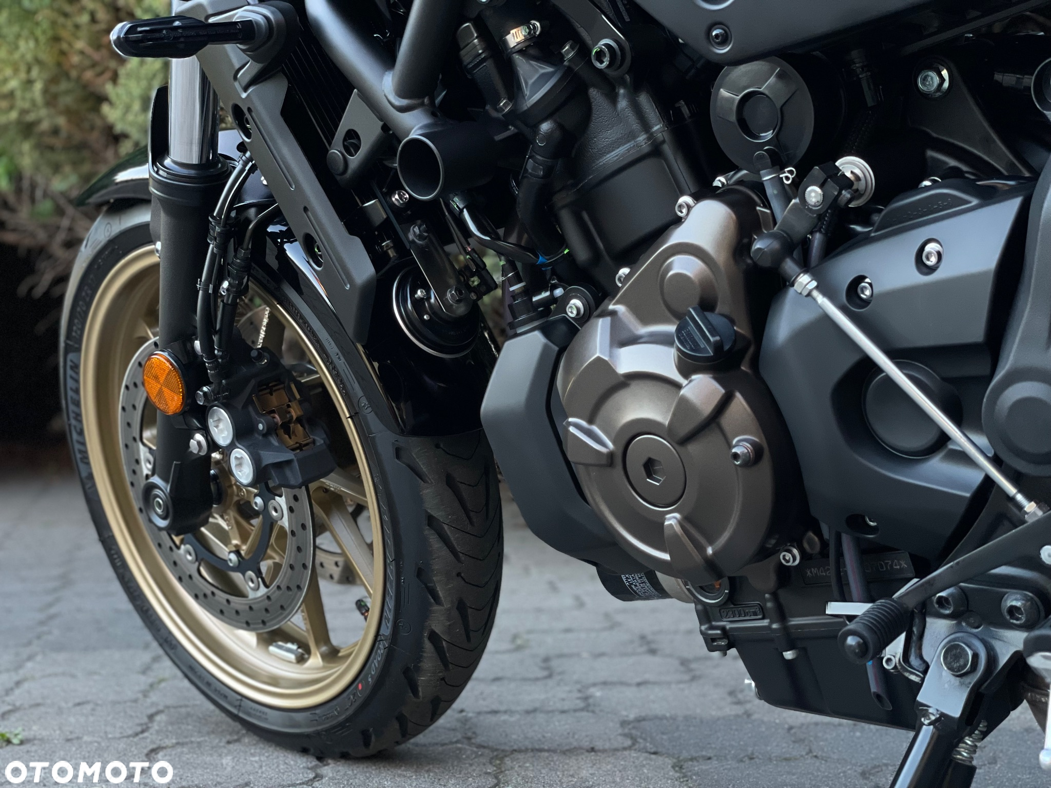 Yamaha XSR - 38