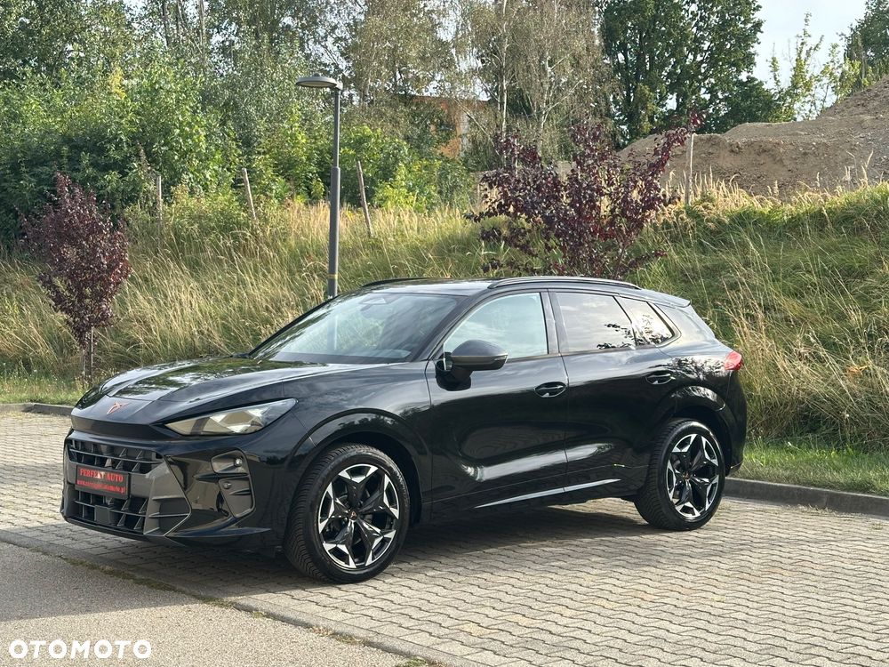 Cupra Terramar 2.0 TSI 4Drive DSG VZ - 4