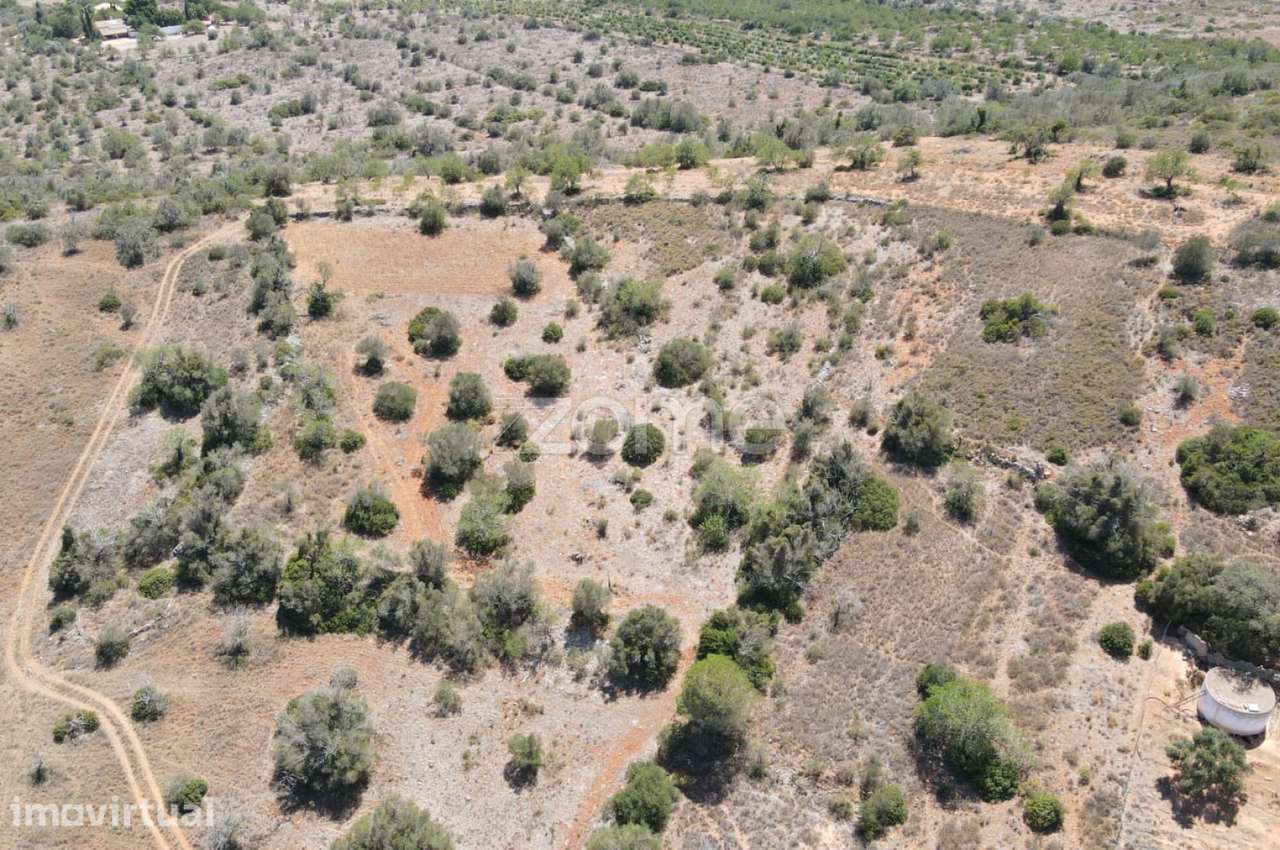Terreno rústico em Messines, Zimbreira, com 7.320m2 - Grande imagem: 4/18
