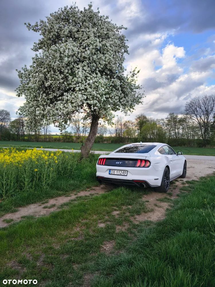 Ford Mustang 2.3 Eco Boost