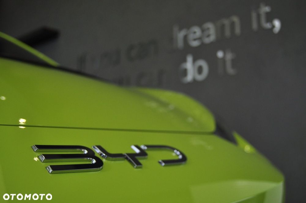 BYD Dolphin Surf - 12