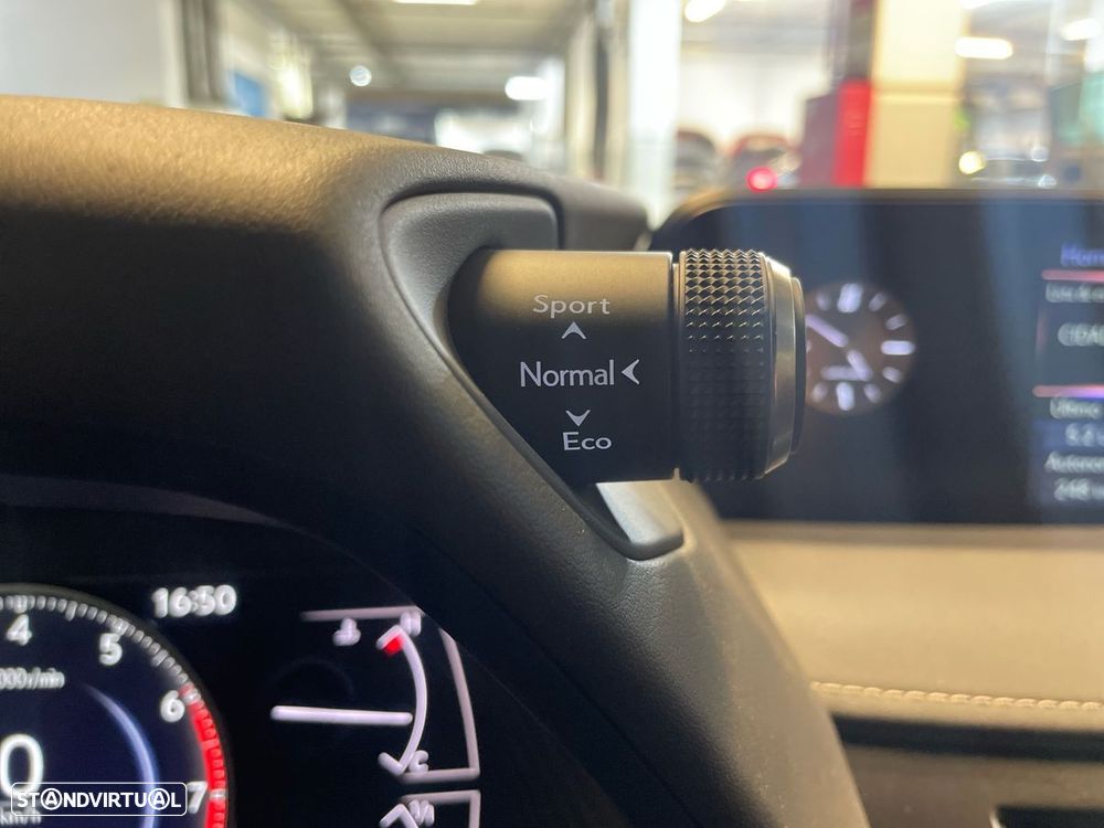 Lexus UX 250h Special Edition (LCA) - 21