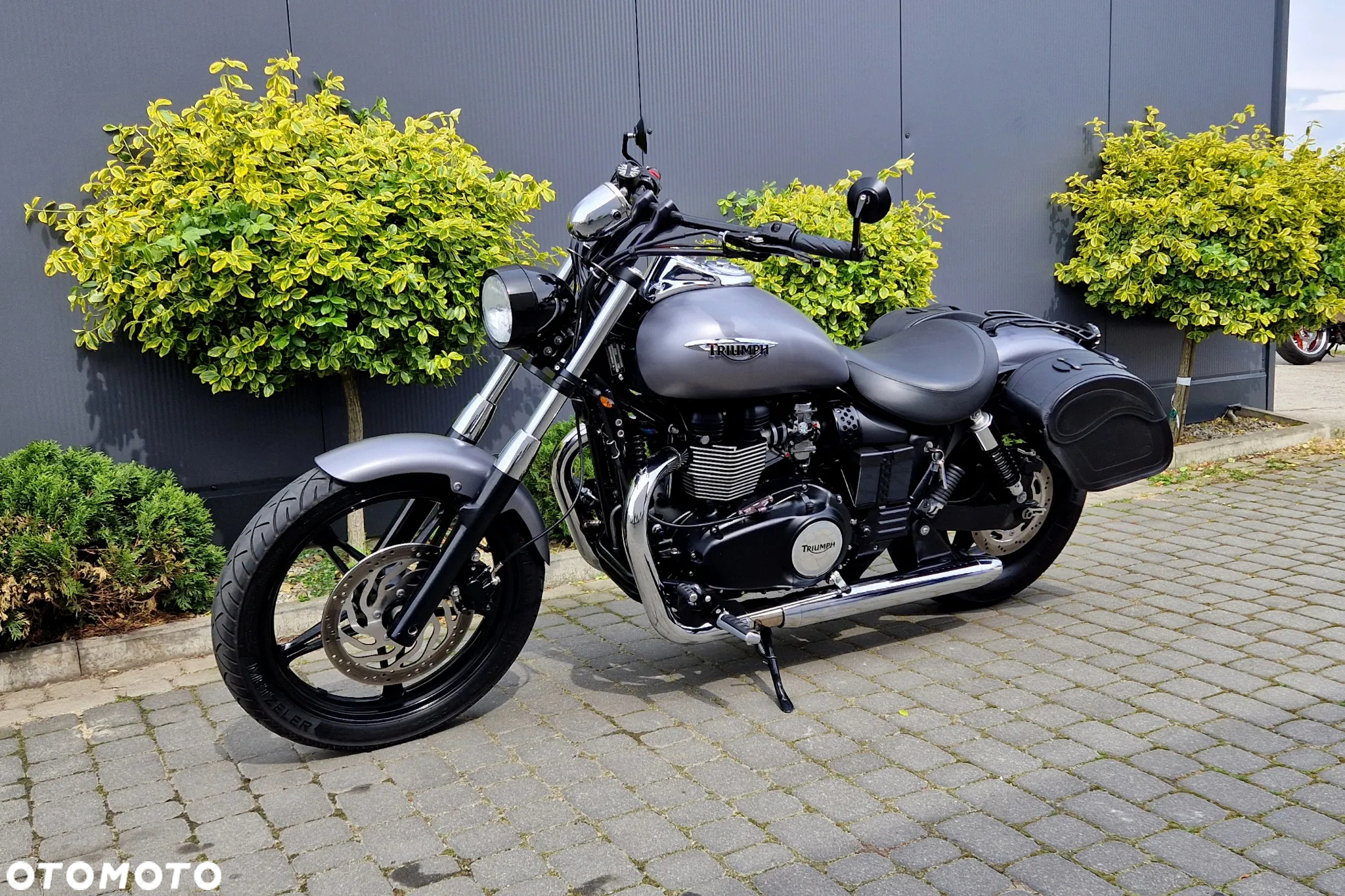 Triumph Speedmaster - 5