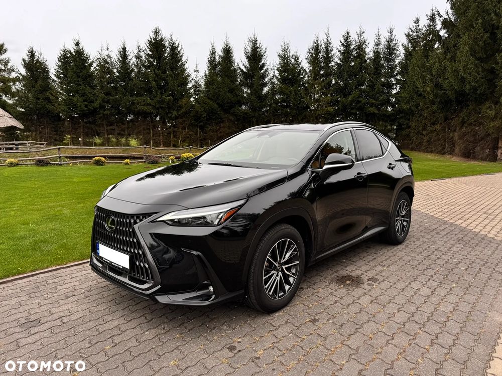 Lexus NX 350h Prestige 2WD - 18
