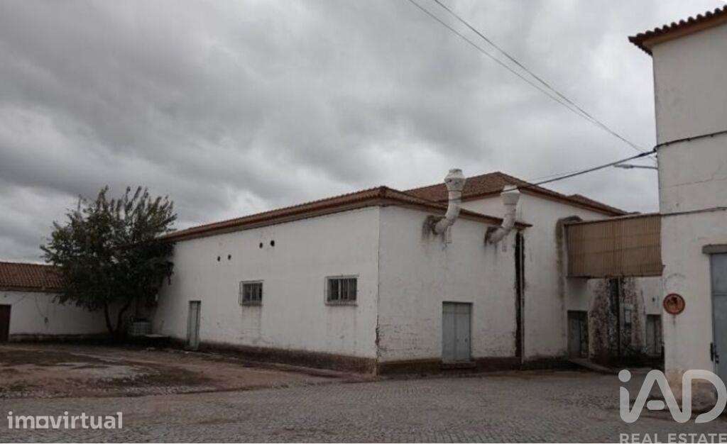 Hangar em Caia, São Pedro e Alcáçova de 5558,00 m2 - Grande imagem: 4/4