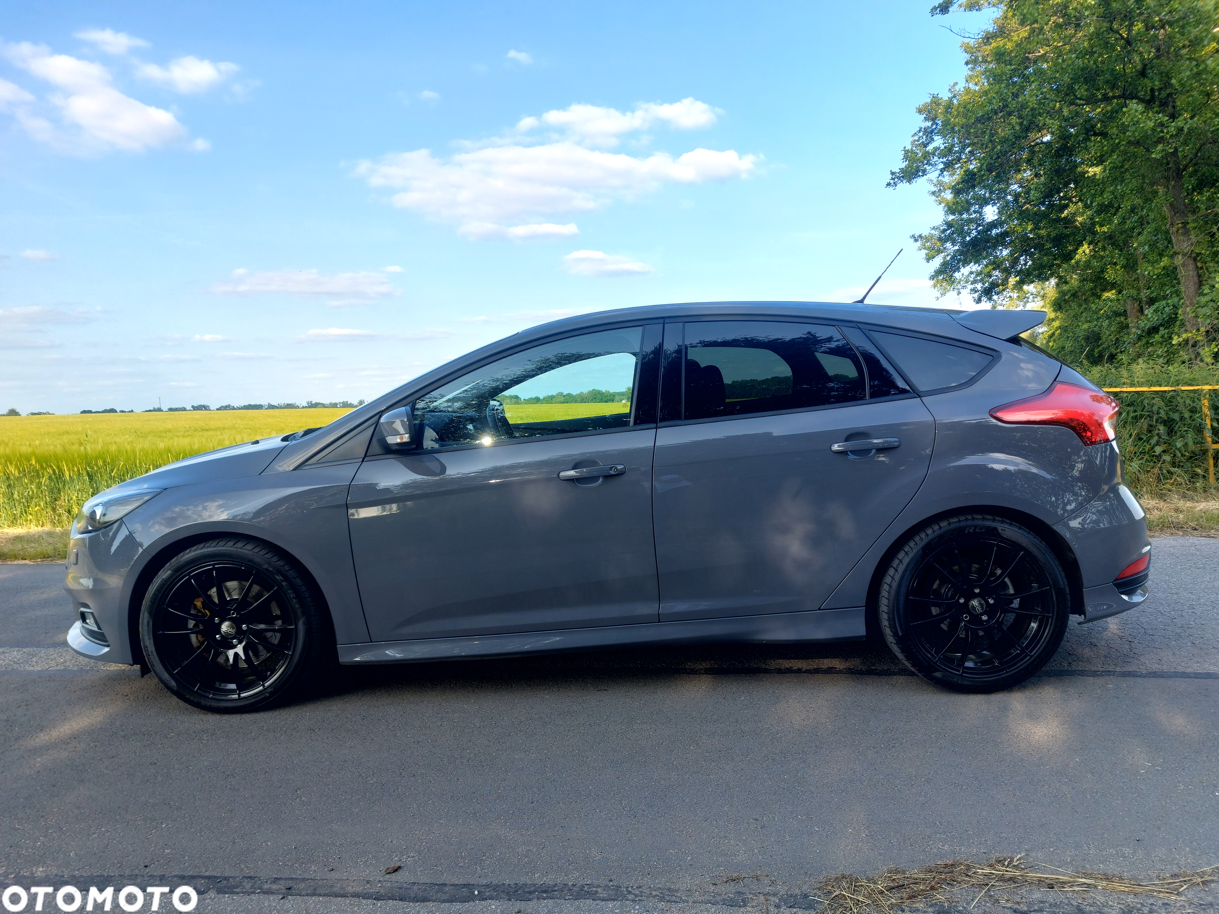 Ford Focus 2.0 EcoBoost ST-2 - 8