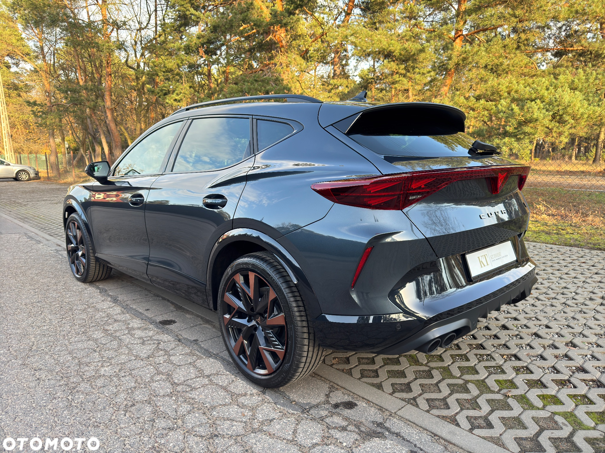 Cupra Formentor 2.0 TSI 4Drive VZ DSG - 8