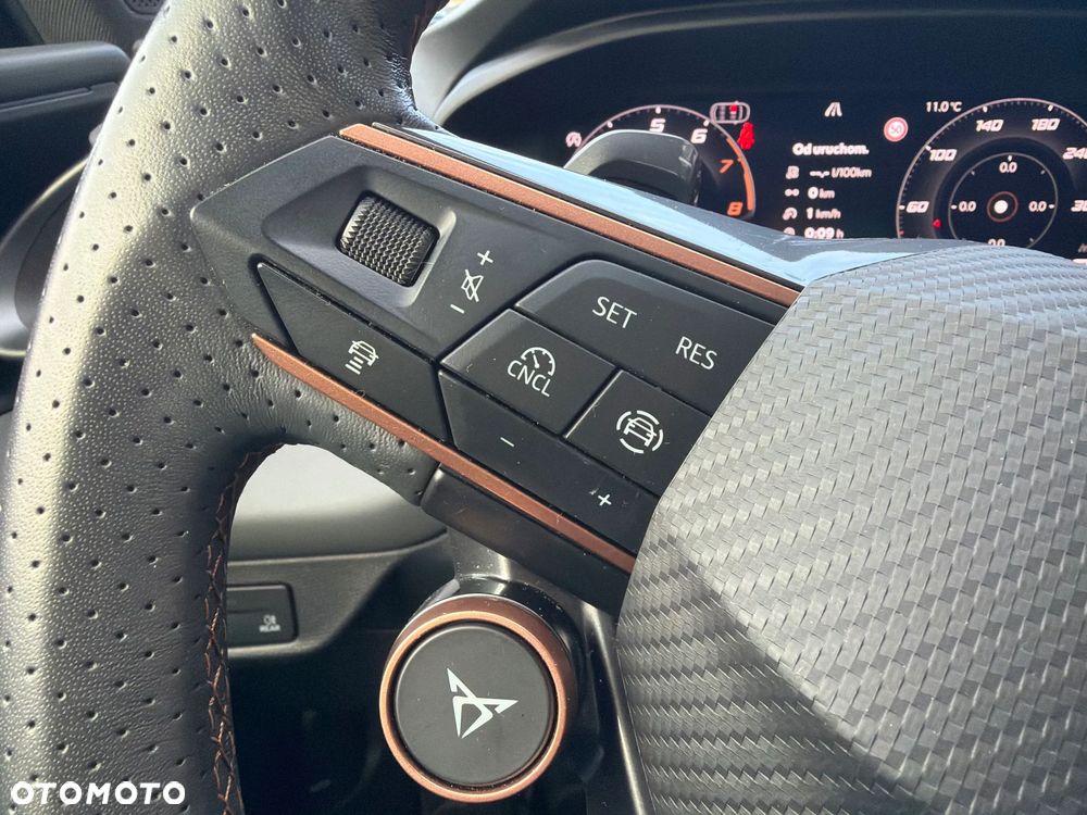 Cupra Terramar 2.0 TSI 4Drive DSG - 19