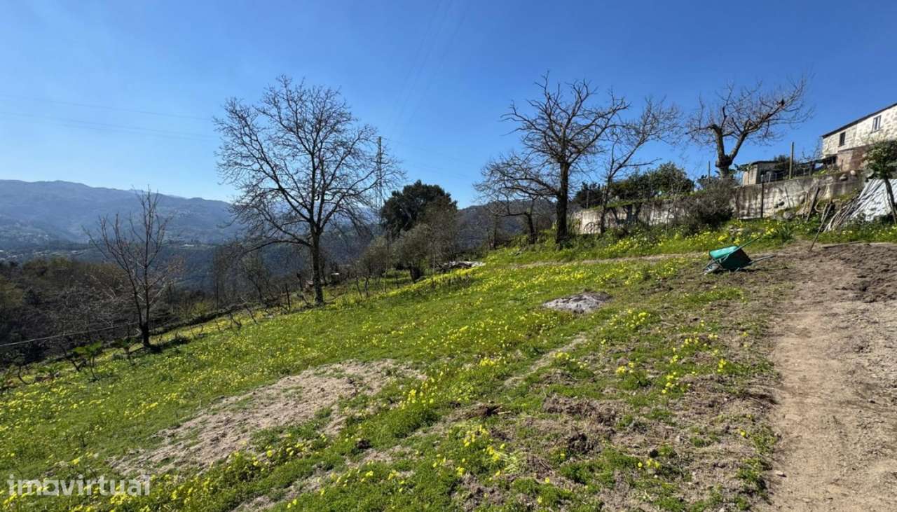 Venda Terreno, Sta. Cruz do Douro, Baião - Grande imagem: 4/28