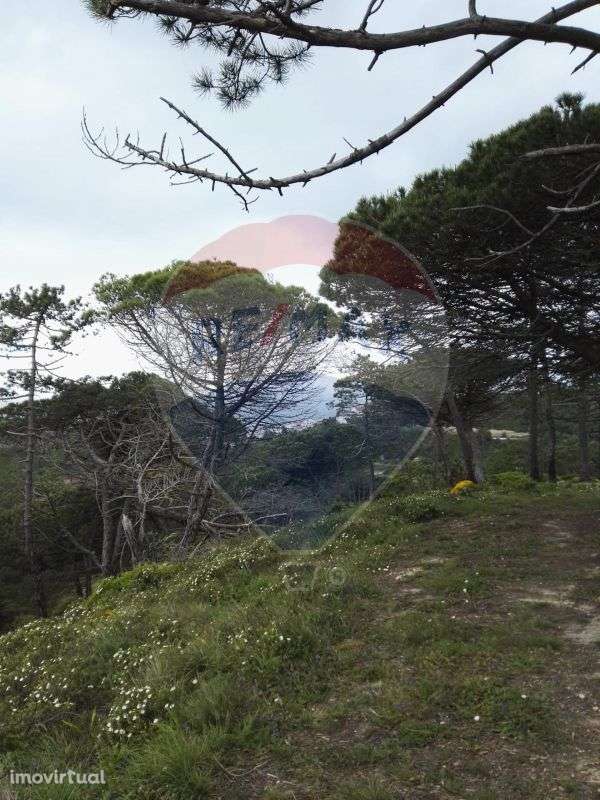 Terreno  para venda - Grande imagem: 2/3