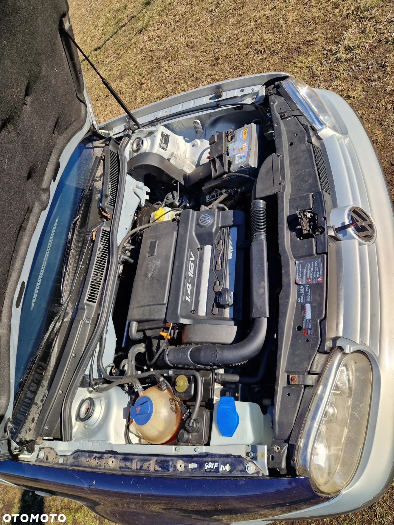 Volkswagen Golf - 6