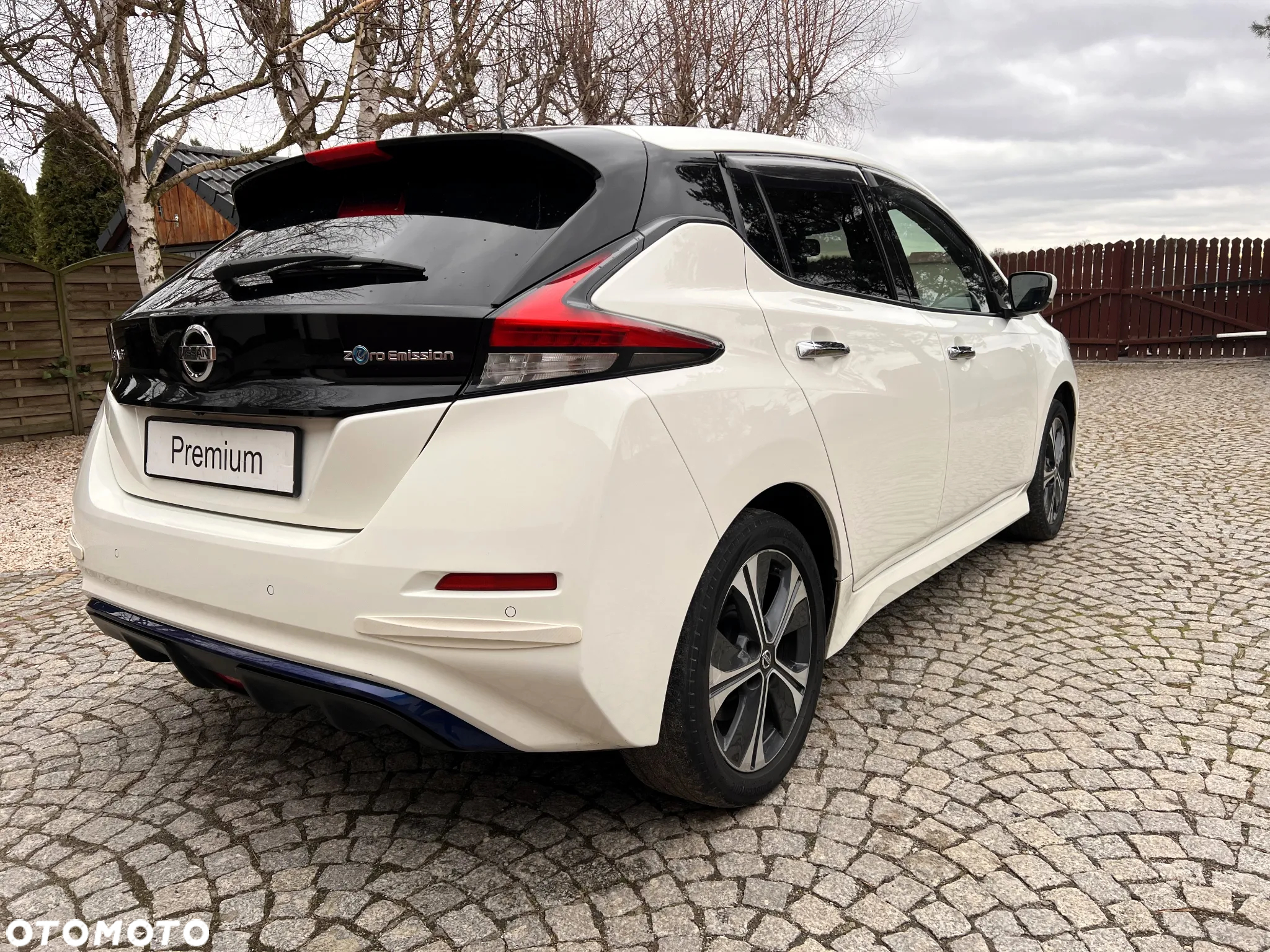 Nissan Leaf 62 kWh e+ Tekna - 10