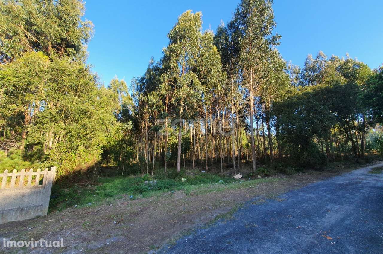 Terreno rústico - Grande imagem: 2/16