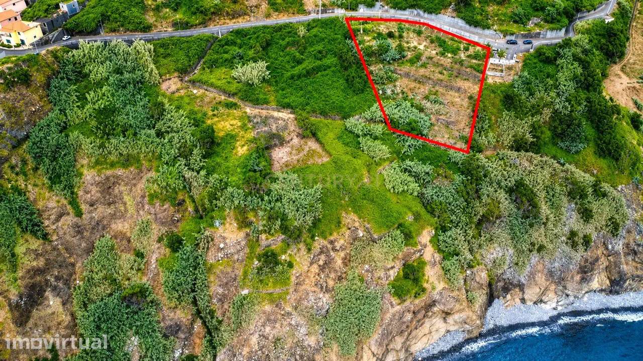 Terreno Faial - Ilha da Madeira - Grande imagem: 2/5
