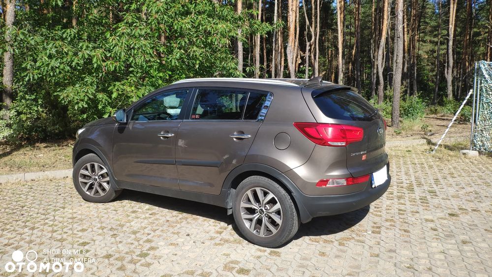 Kia Sportage - 1