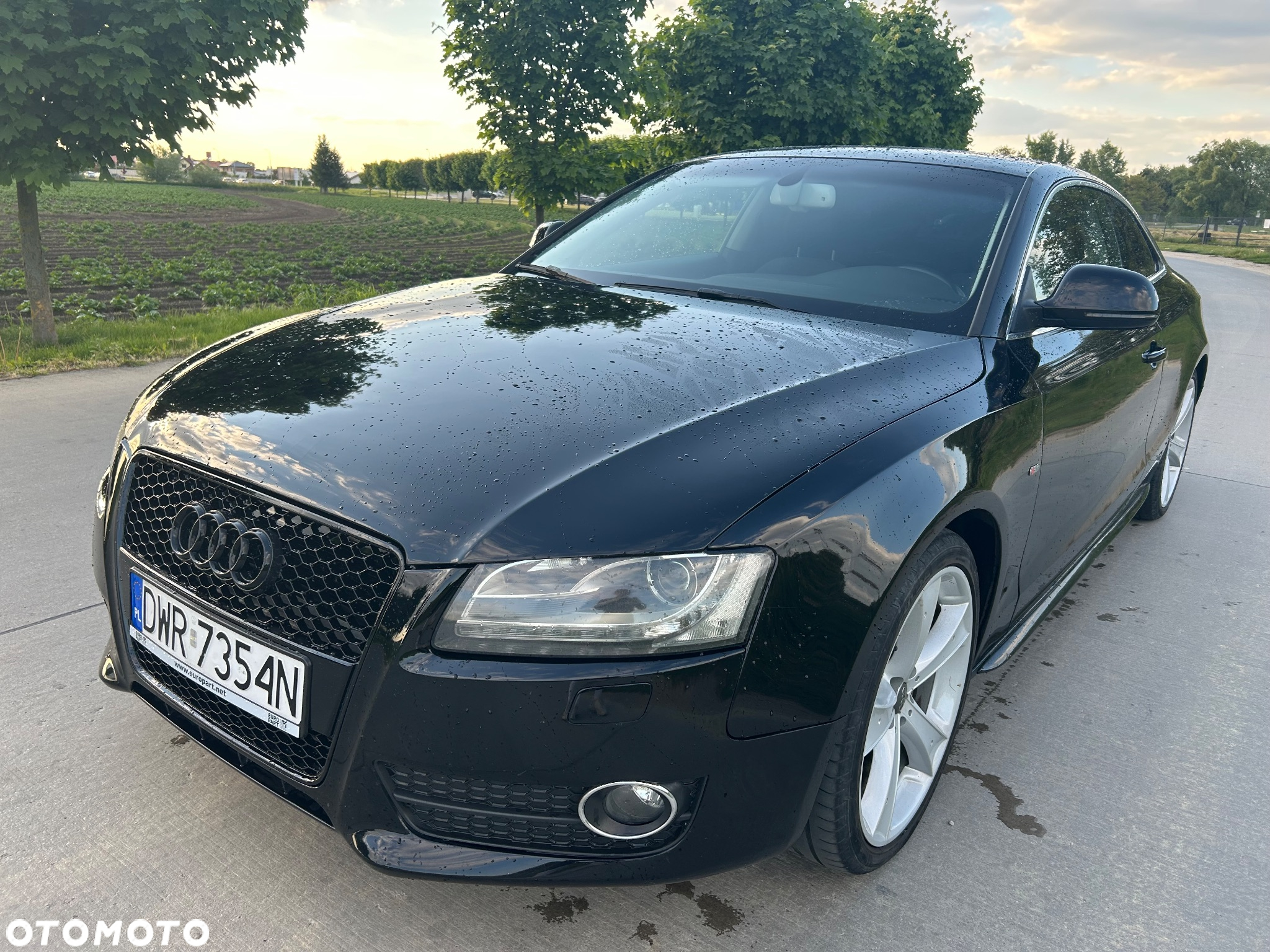 Audi A5 2.7 TDI Multitronic - 4