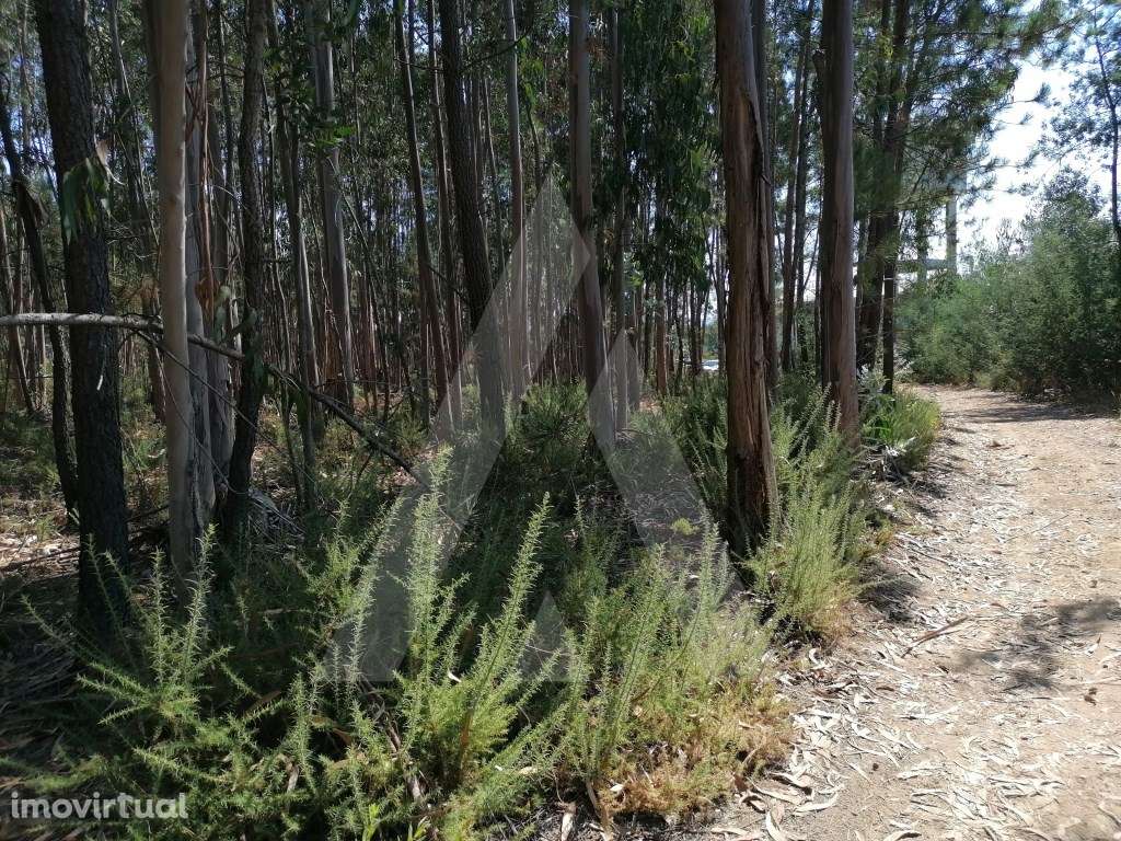 Terreno destinado a construção em Águeda - Grande imagem: 4/10