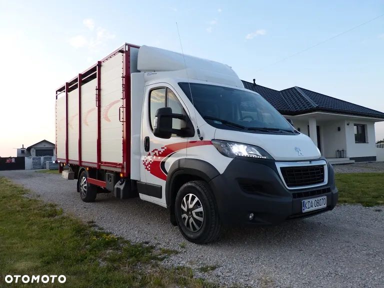 Peugeot BOXER DO ŻYWCA / ZWIERZĄT / BYDŁA / TRZODY CHLEWNEJ / EURO 6 / KAT. B / STAN PERFECT - 8